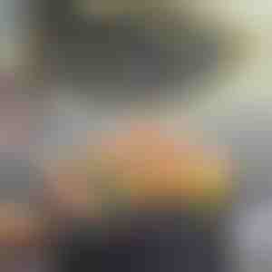 Višenamjenska neprianjajuća tava | KOREPAN