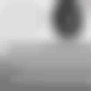 Brzi čavli za popravak guma | VULCOFIX