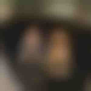 Vodootporna navlaka za stražnje sjedalo automobila za pse | CARIPET