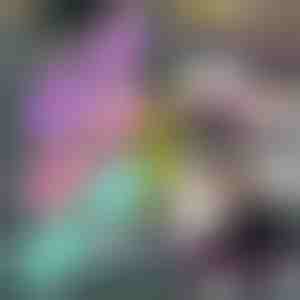 Trake za vježbanje (3 u kompletu) | FITSTRAPS