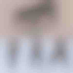 Višenamjenska pilates šipka | TONEBAR