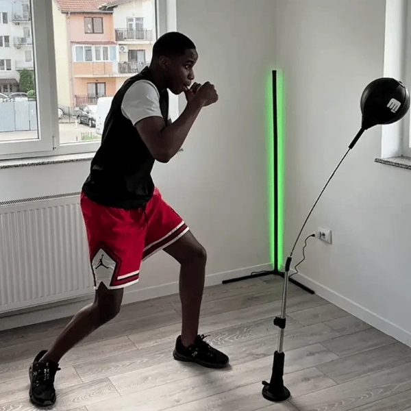 BOXFIT-3831127634681-N-1__010226